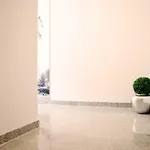 Donau Boardinghouse Appartement *